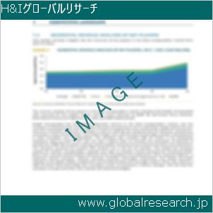 グローバルリサーチ調査レポートのイメージ